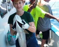 Amberjack-2