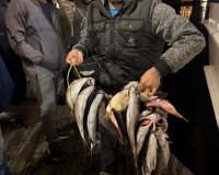 IMG_0942