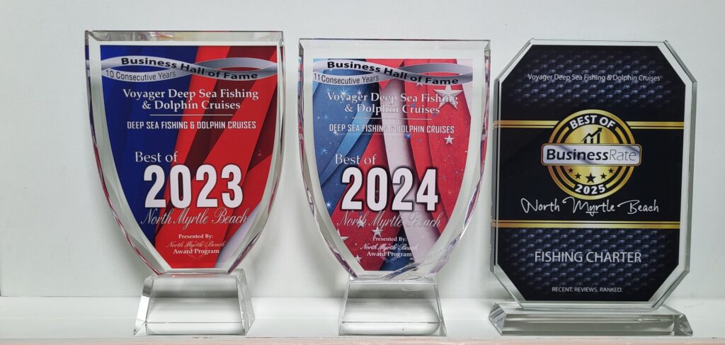 2025 Awards